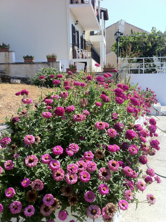 Dimitrakis Apartments Kassiopi Exteriér fotografie
